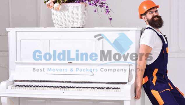 Professional Movers in Dubai