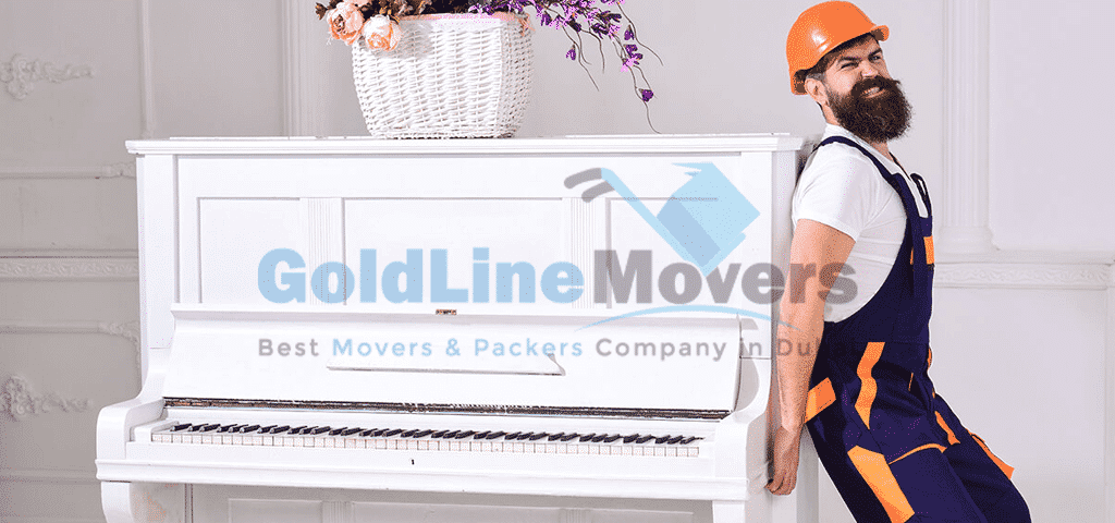 Professional Movers in Dubai