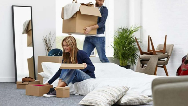 domestic movers