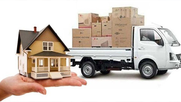 domestic movers